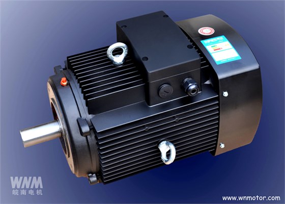 皖南電機成功研發(fā)立式多級泵專用電機 皖南電機成功研發(fā)立式多級泵專用電機