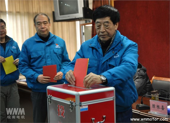 皖南電機(jī)陳根喜、管兵在投票現(xiàn)場