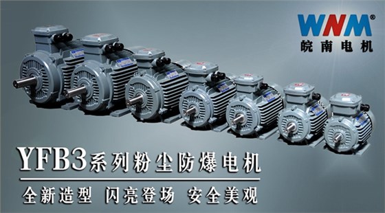 皖南電機YFB3全新系列粉塵防爆電機 皖南電機YFB3全新系列粉塵防爆電機