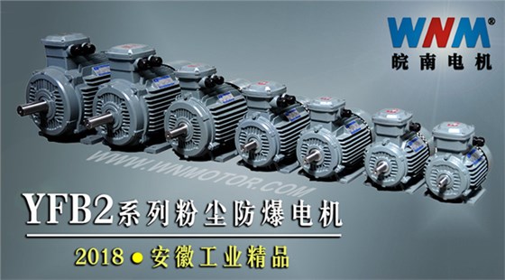 YFB2系列粉塵防爆型電機入選2018年安徽工業(yè)精品名單 YFB2系列粉塵防爆型電機入選2018年安徽工業(yè)精品名單