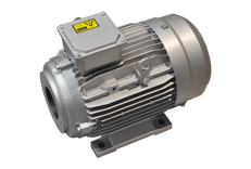 YYVF2系列新能源汽車(chē)助力轉(zhuǎn)向泵電機(jī)